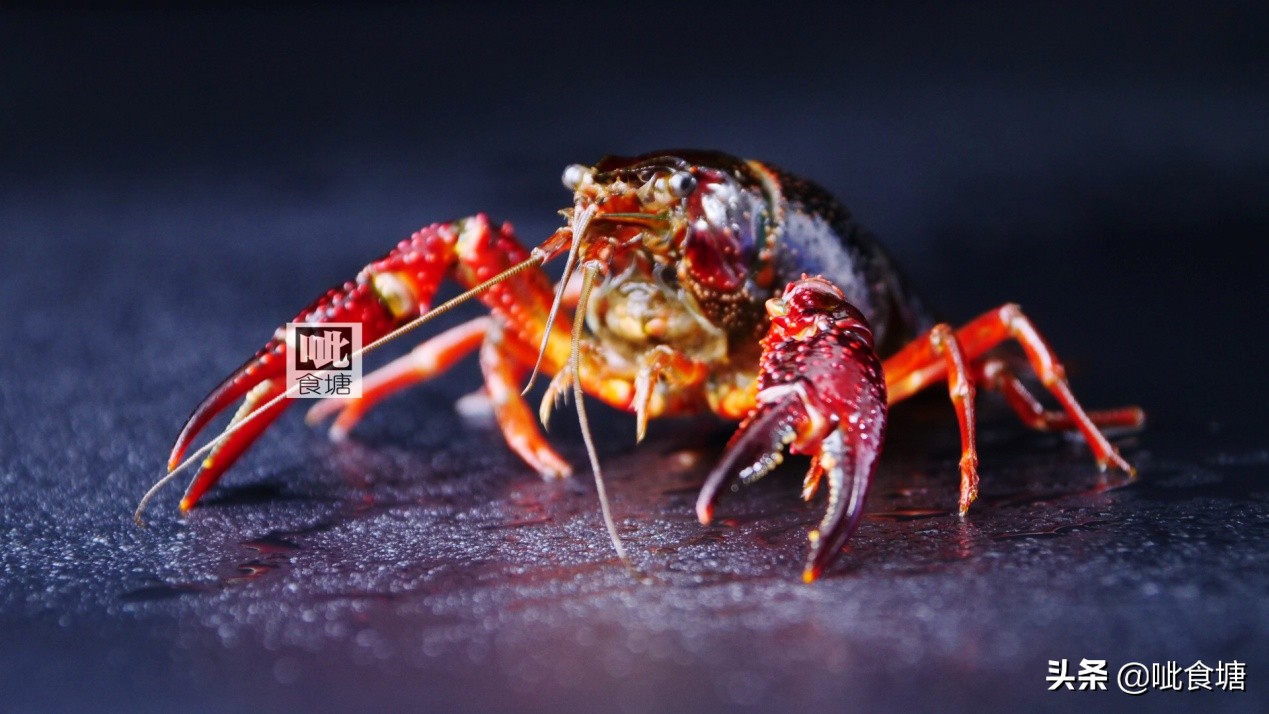 不带壳小龙虾最正宗做法,即食麻辣小龙虾推荐