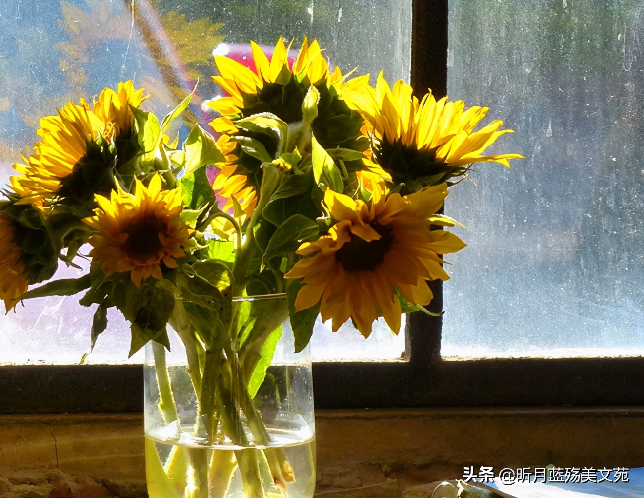 有种真爱叫忍着不联系却天天想你,有一种深爱叫天天想你却不能相见