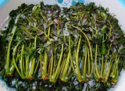 奶奶腌香椿菜秘方，3步就做好，能保存一年，现吃现取，简单方便