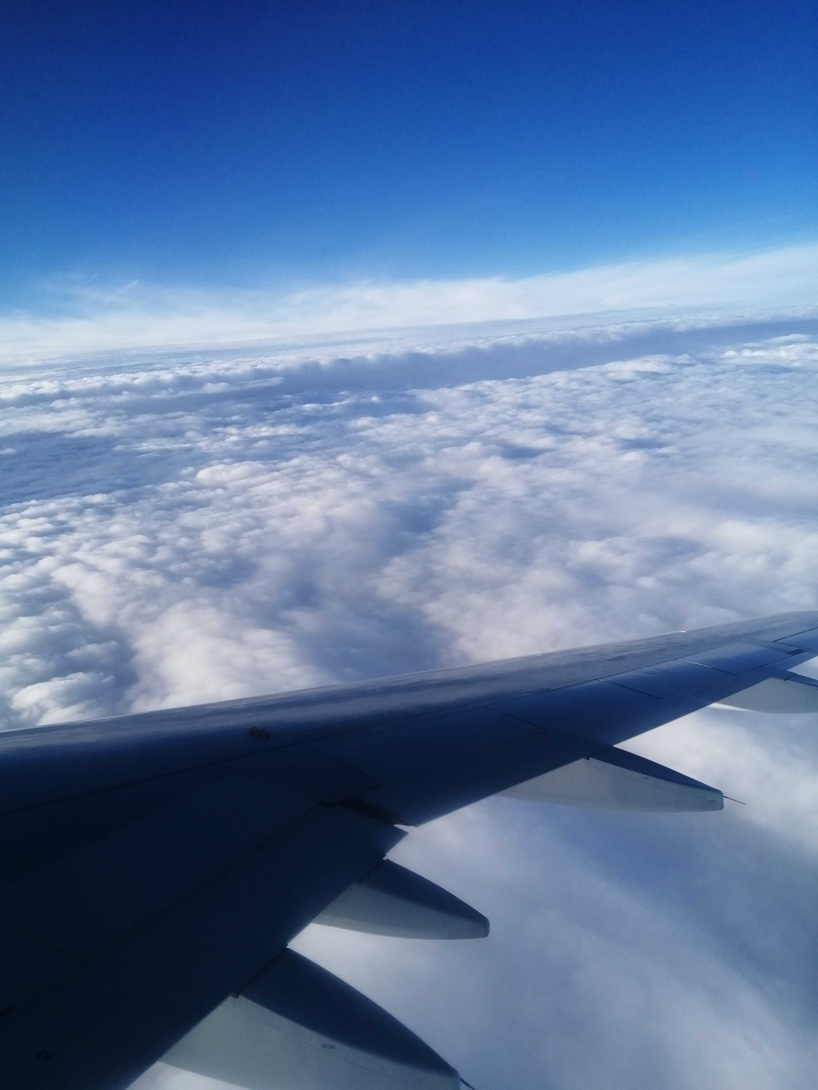 中国人去阿联酋做什么工作,80后小伙在埃及开罗