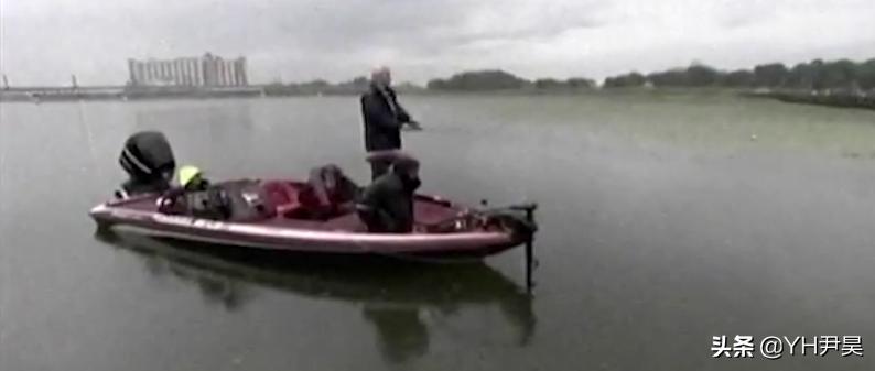 揭秘日本水怪之谜,传说中的日本水怪会是一种濒临灭绝的鱼吗?