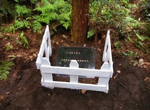 广州宠物死了怎么处理,厦门宠物狗死了怎么处理