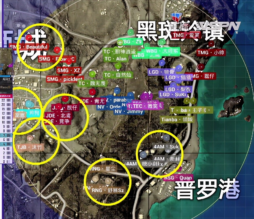 lgd战队pel比赛情况,pel联赛淘汰榜