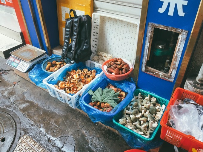 云南不止有风花雪月的苍山洱海,去西双版纳感受傣族民族风情