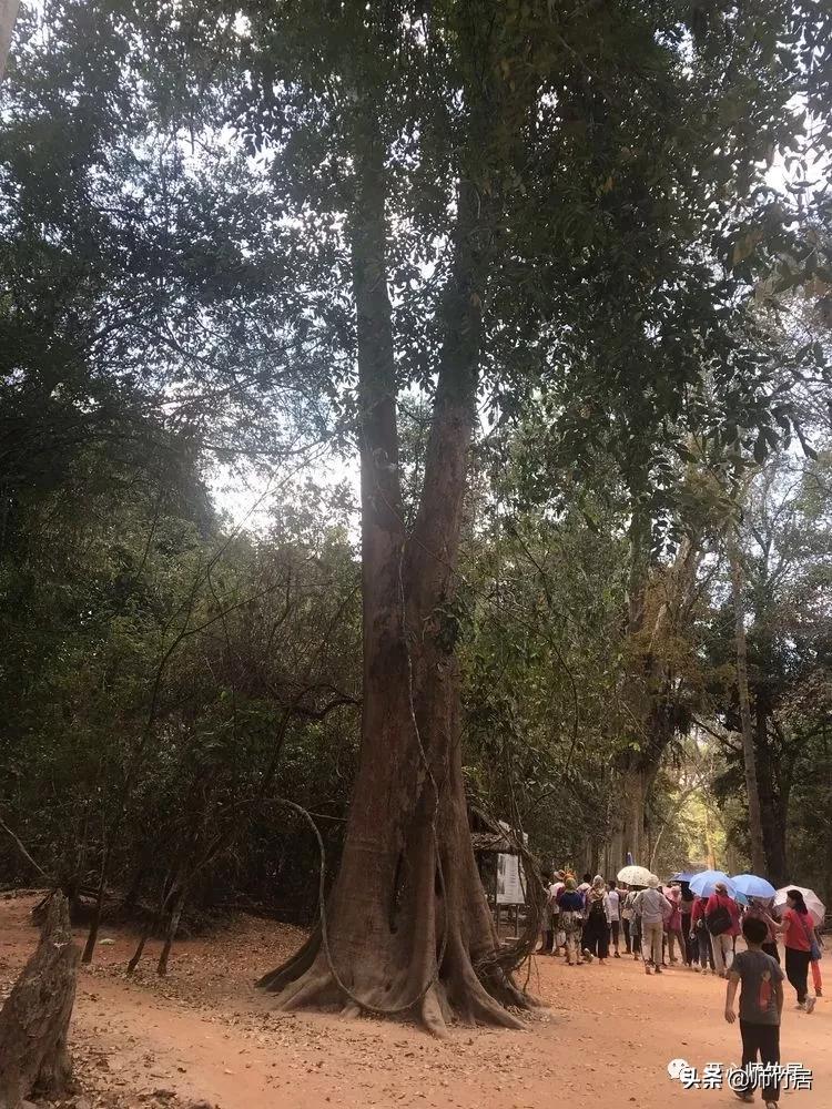 柬埔寨游记600字,柬埔寨游记美篇