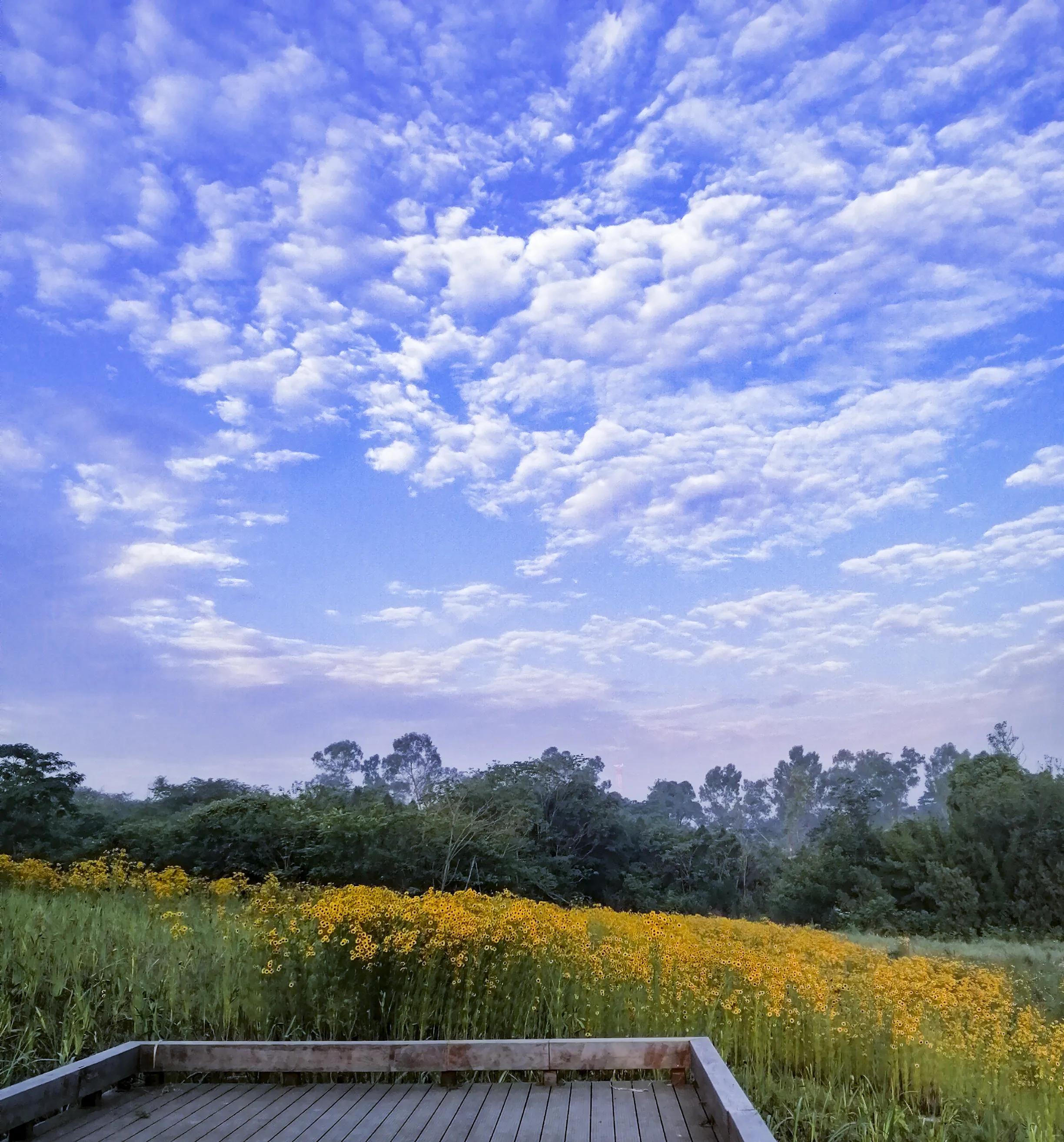 龙泉十陵航拍,龙泉驿区十陵
