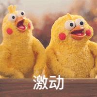 “BIE定相随”泰国游，中泰粉丝欢聚时刻、公益随行~开团喽