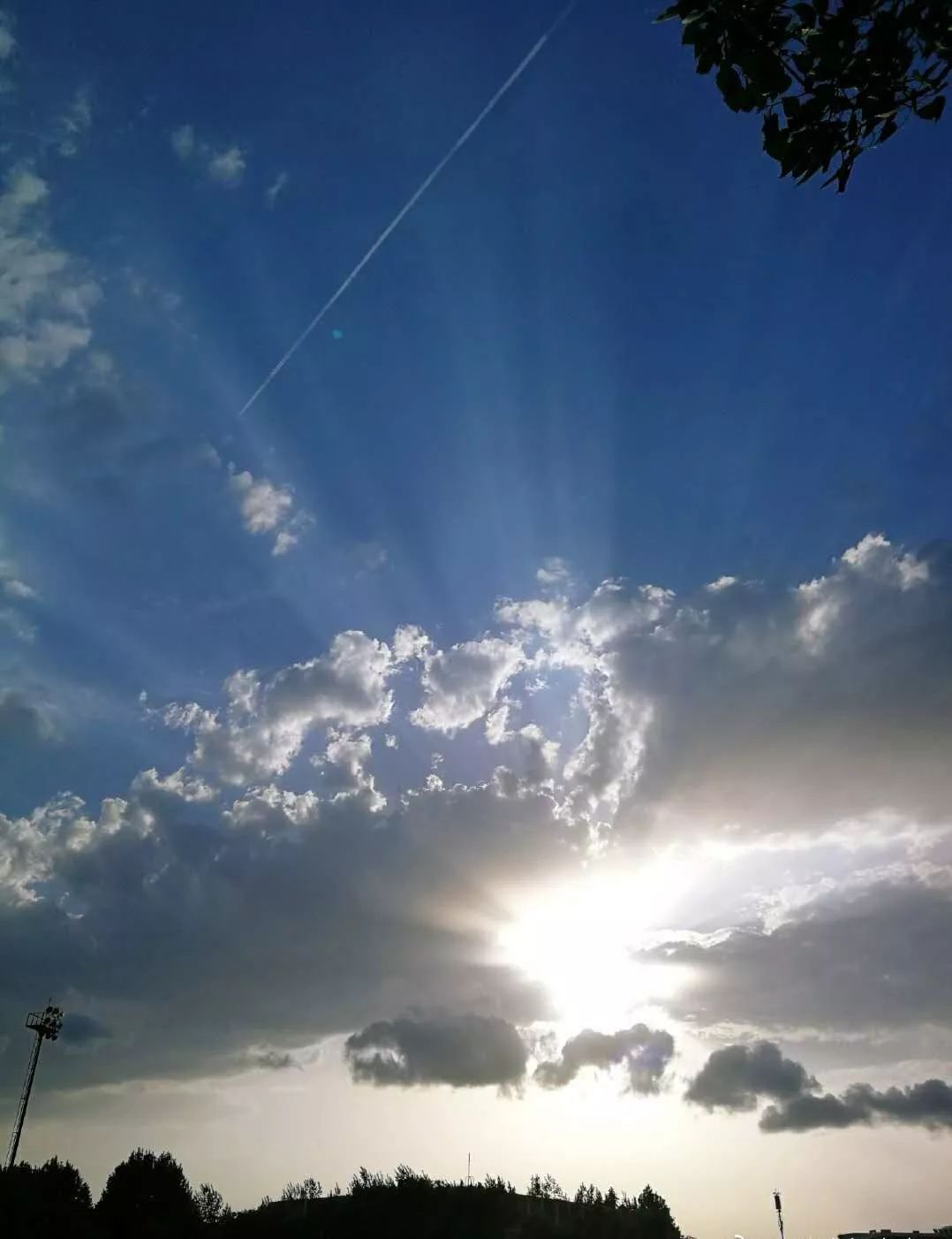 孕产期保健指南,孕期避坑手册