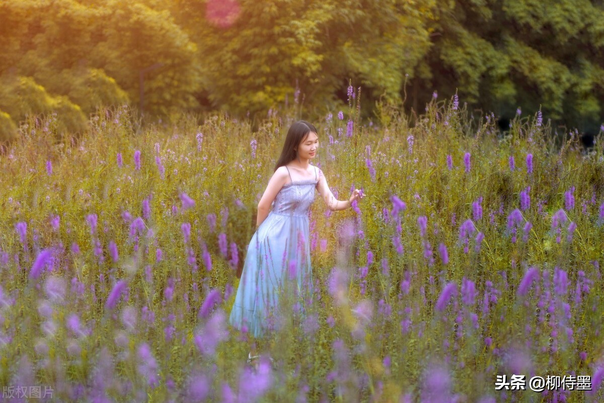 外拍知识科普拍摄技巧,摄影技巧口诀大全图解