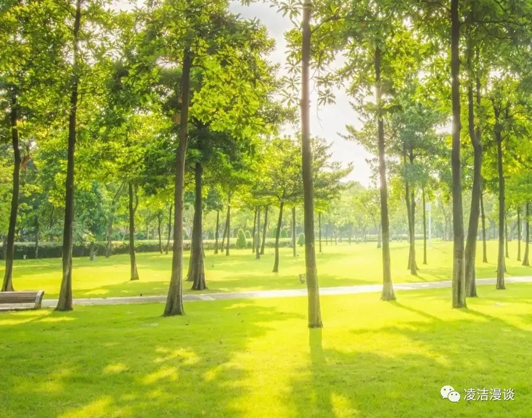 成语大智若愚什么意思,怎么看出大智若愚的人