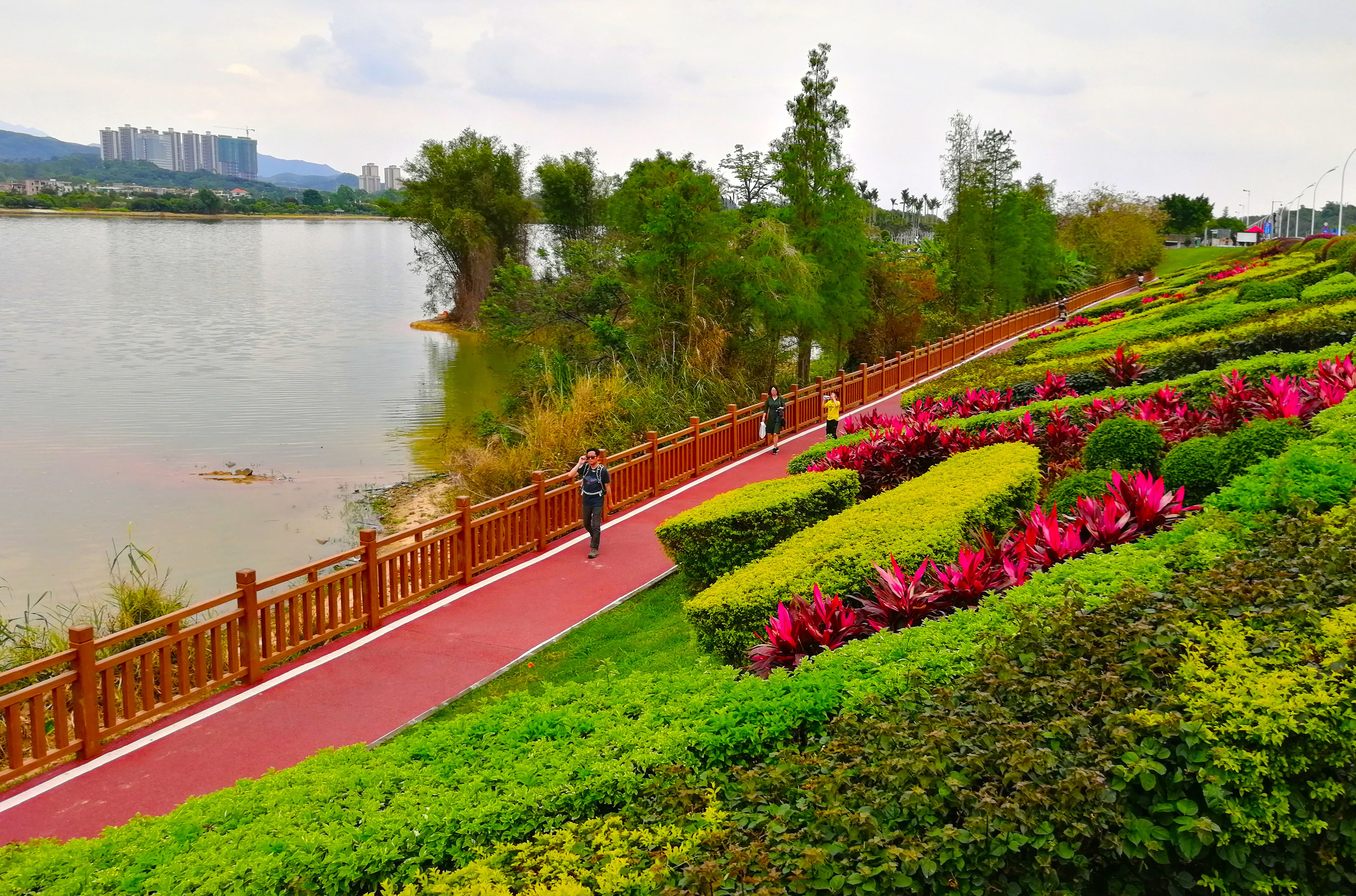 增城最美村,广州增城最美乡村
