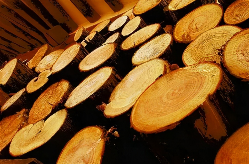 家装设计和整木定制,爱马仕装修定制