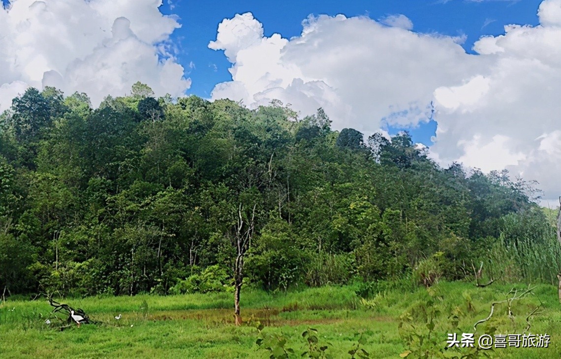 北京到云南普洱自驾游攻略,普洱周边自驾游必去景点有哪些