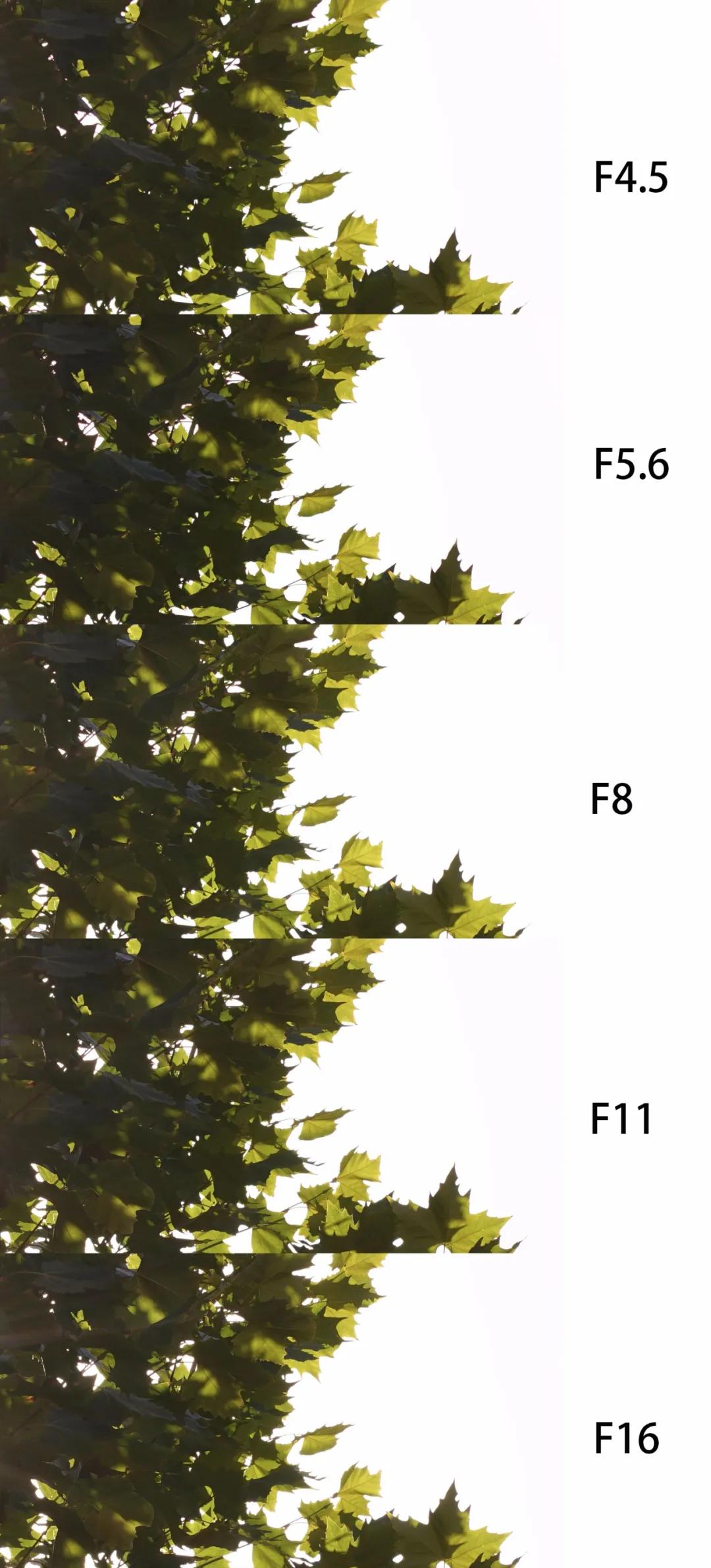 腾龙28-200f2.8长焦拍风景,长焦镜头腾龙