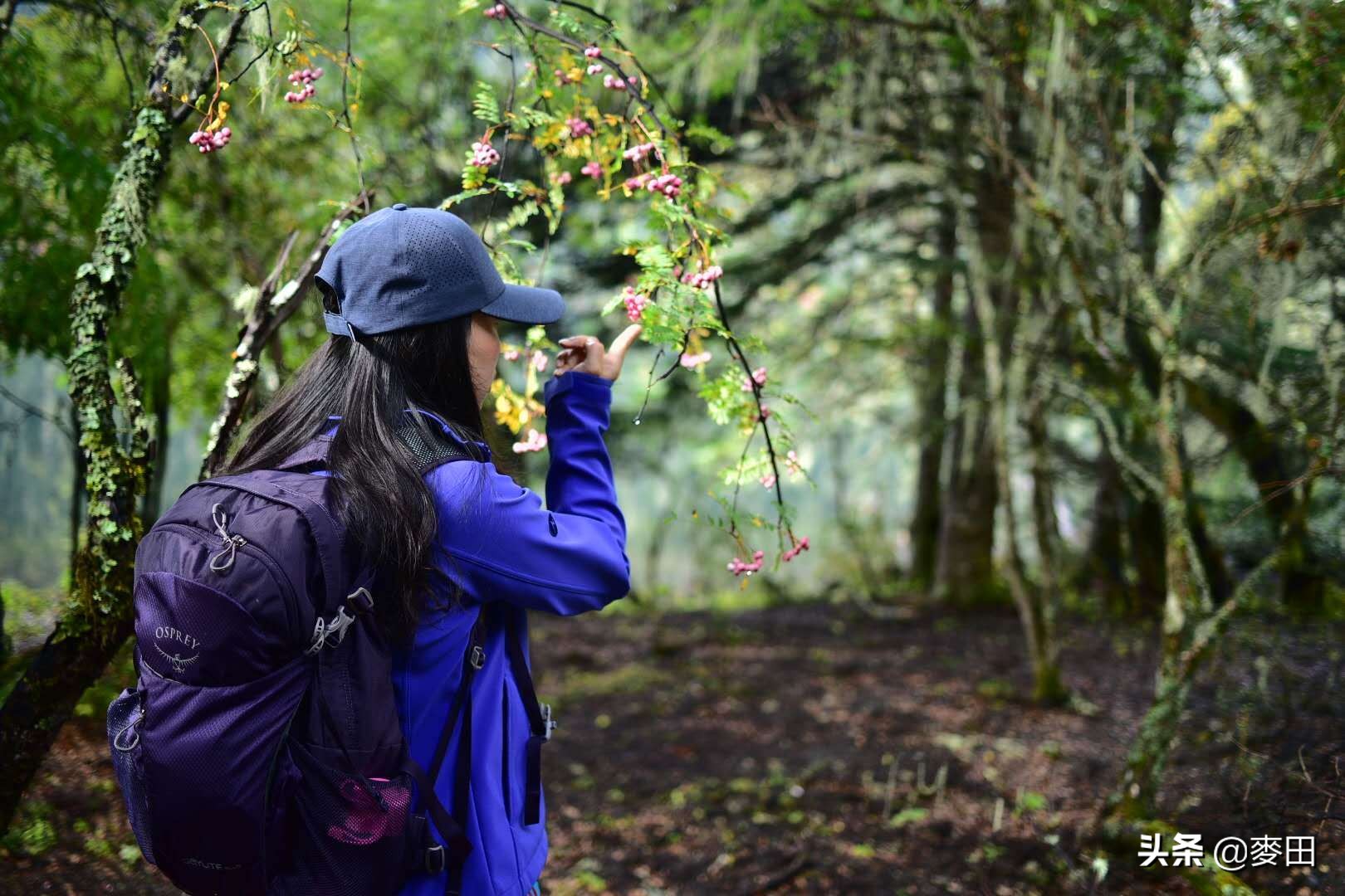 秋高气爽，不如一起背包出去浪！我最推荐的Osprey背包