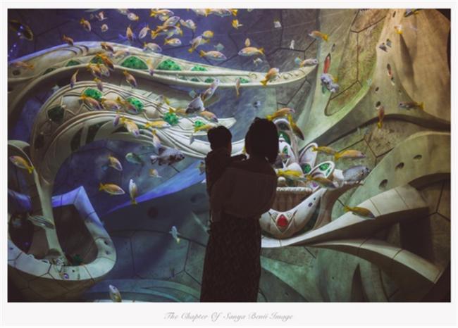 一家四口去三亚旅游既省钱又开心,带两个娃去三亚旅游