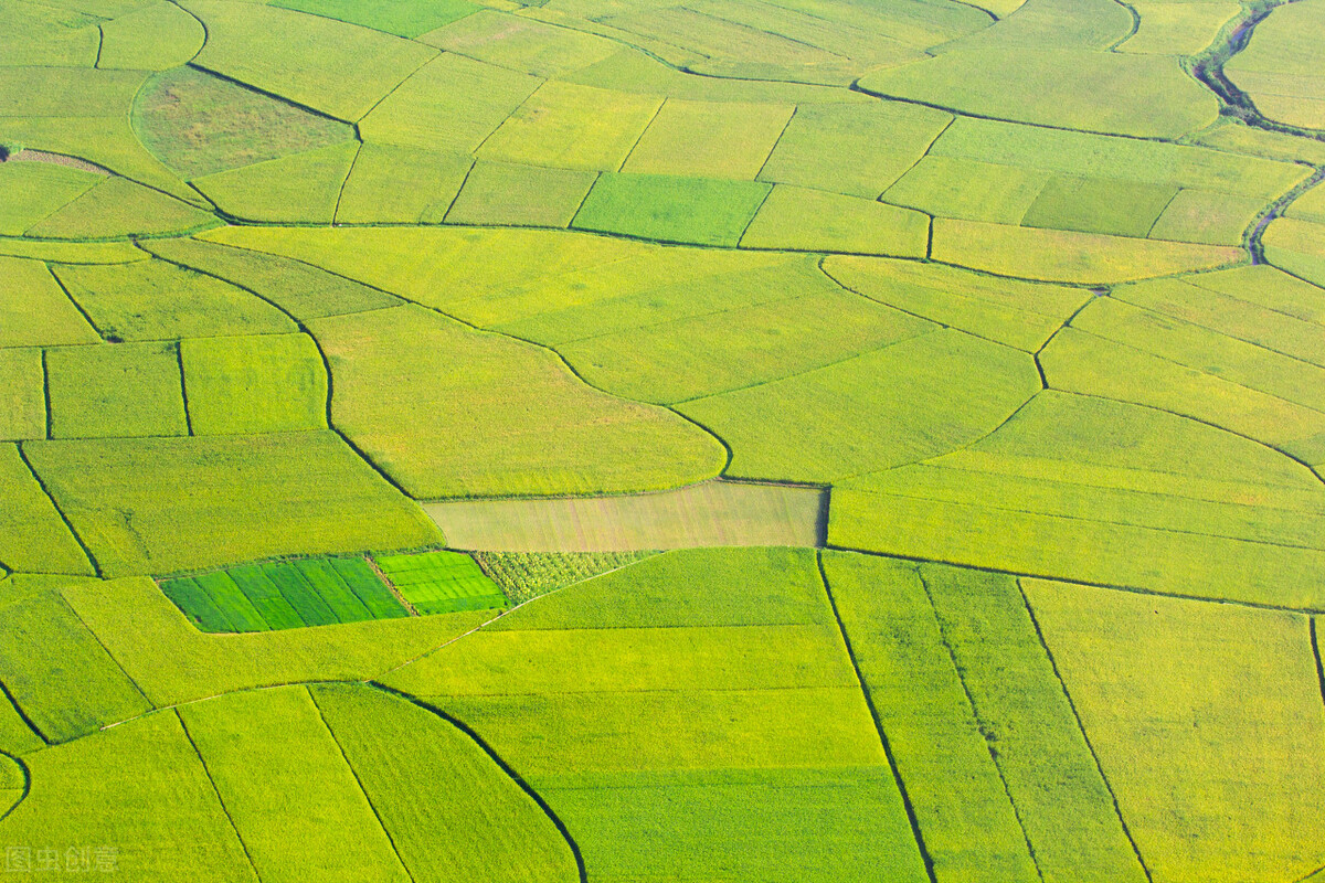 人类未来灭绝的最大隐患是什么,人类灭绝的技术