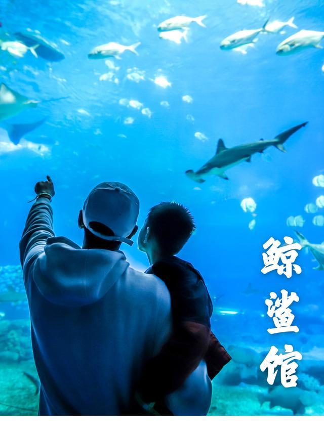 来珠海亲子必打卡景点，人工飘雪海洋动物表演，最适合周末亲子游