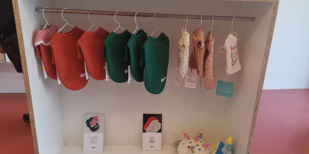 韩国宠物店推荐,韩国宠物店体验