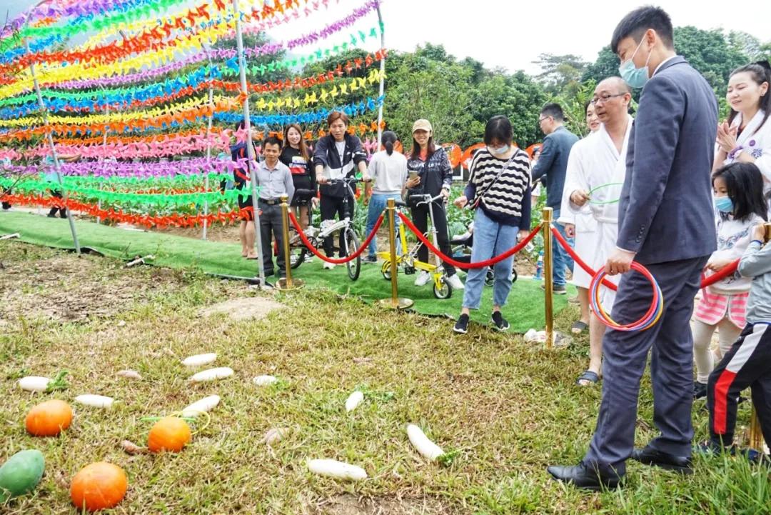 广州白水寨度假区酒店推荐,这家酒店