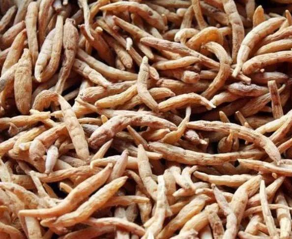 黔东南春节游玩推荐,隐藏在黔东南的世外桃源