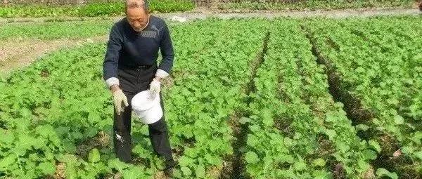 氨基酸是什么功效与作用及副作用,氨基酸有什么含义