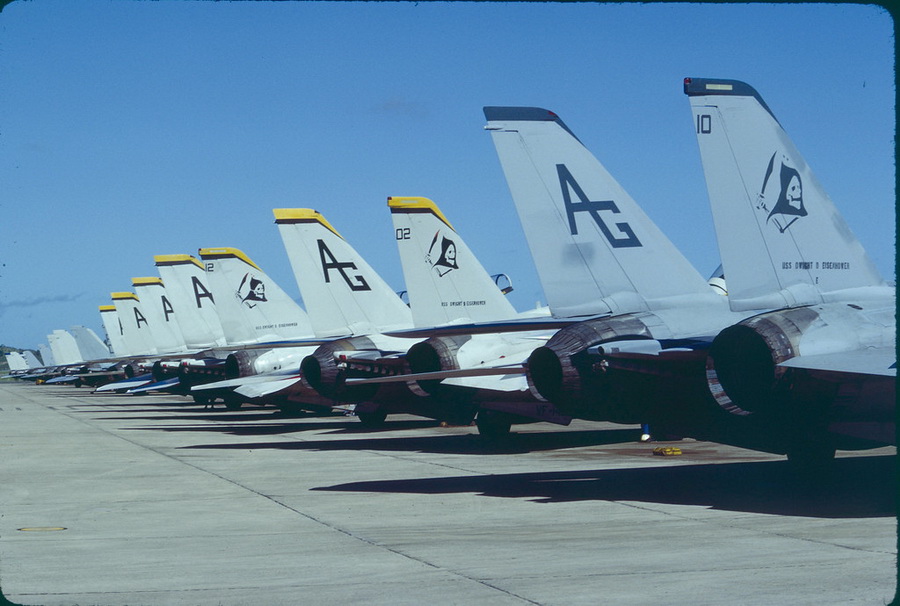 猫迷必备技能,F-14各型号的辨别