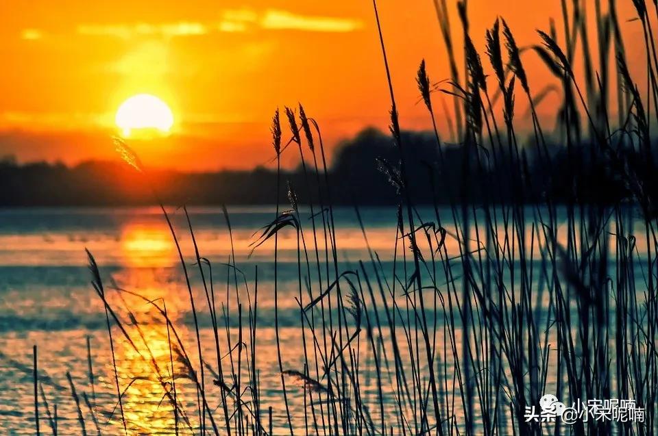 自媒体公众号名称怎么起,如何打造一个自媒体公众号