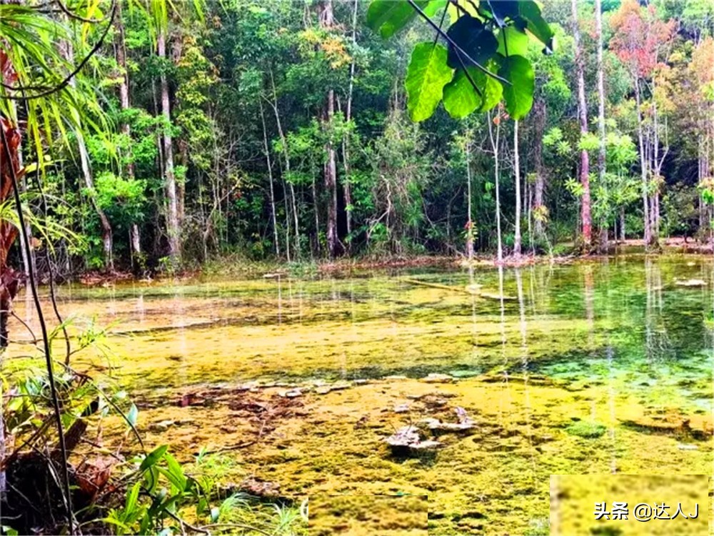 跟着小宇游日本,跟着小天玩游戏
