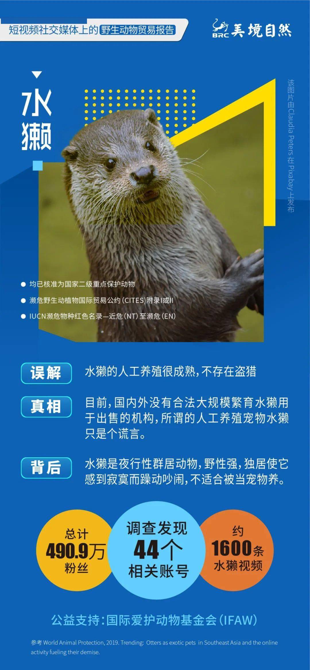 短视频以及电商生态研究报告,短视频与直播电商行业调研报告