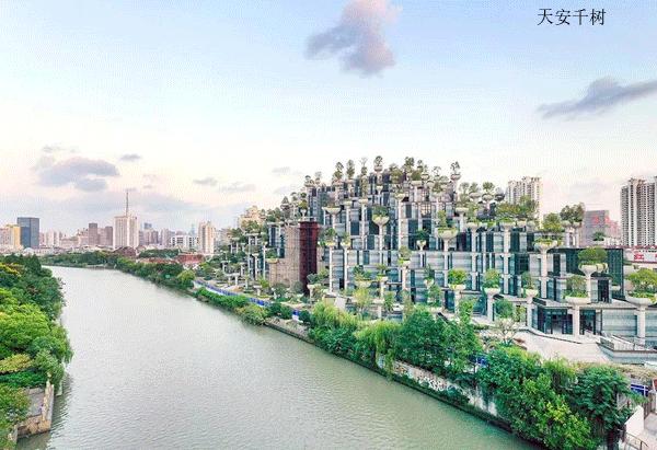 华东开业购物中心,华东区购物中心