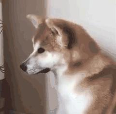 一人感染连累全家,感染hpv应如何避免传染给家人