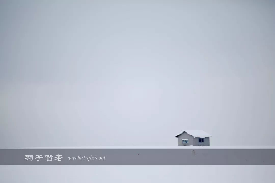 老实说，这一趟北海道就是为了拍好看的照片去的