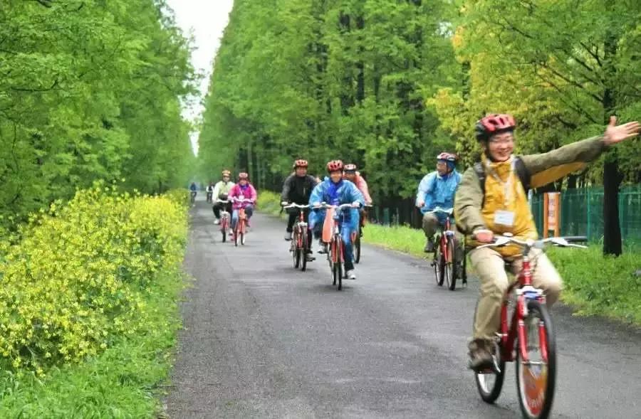 百万市民看奉贤,上海百条线路图