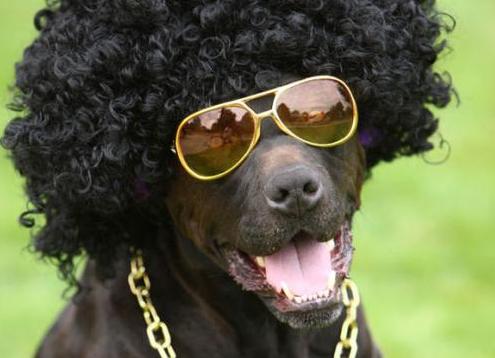 平价墨镜怎么挑,买的黑墨镜看不清咋办