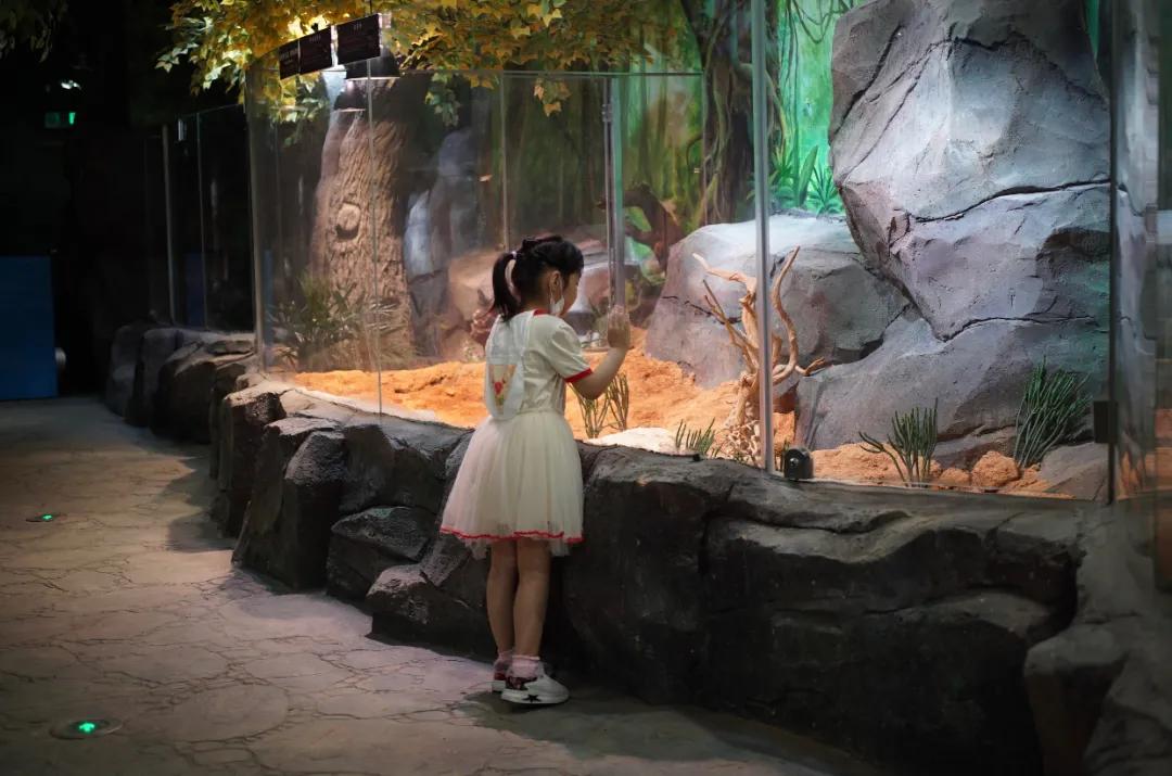 占地30000㎡！这艘建在安华汇天台上的巨船，竟是亲子乐园