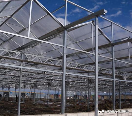 有名气的温室大棚防虫网,沭阳温室大棚防虫网有什么作用