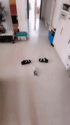 视频滤镜到底有多强,视频滤镜太多是什么原因