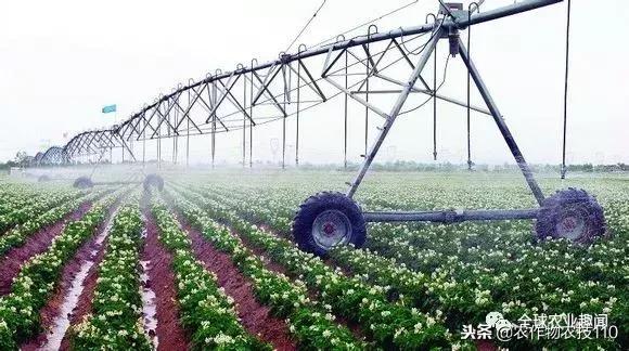 以色列用什么水和什么水灌溉农田,以色列进口水肥一体化灌溉设备