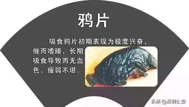 知识点有什么,知识点的重要性