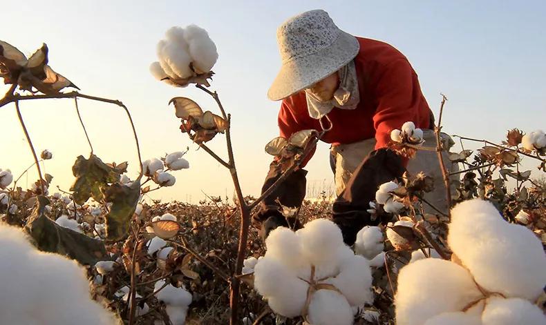 专门做袜子的国货,拥有100多个专利的国货