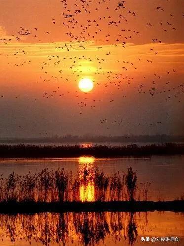 我对的对联在哪里找到,我对的对联