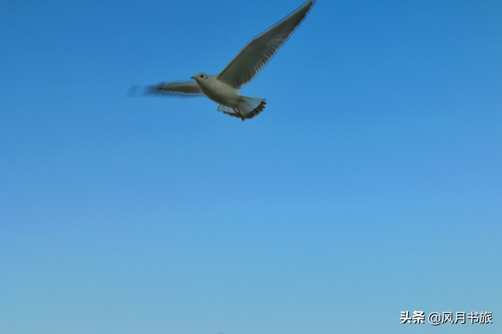 西昌山火肆虐过后救火者,西昌木里救火英雄