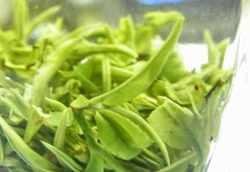 如何判断庐山云雾茶,庐山云雾茶怎么辨别真假