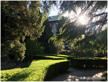 协和的园子：一座澄净心灵的医学百草园