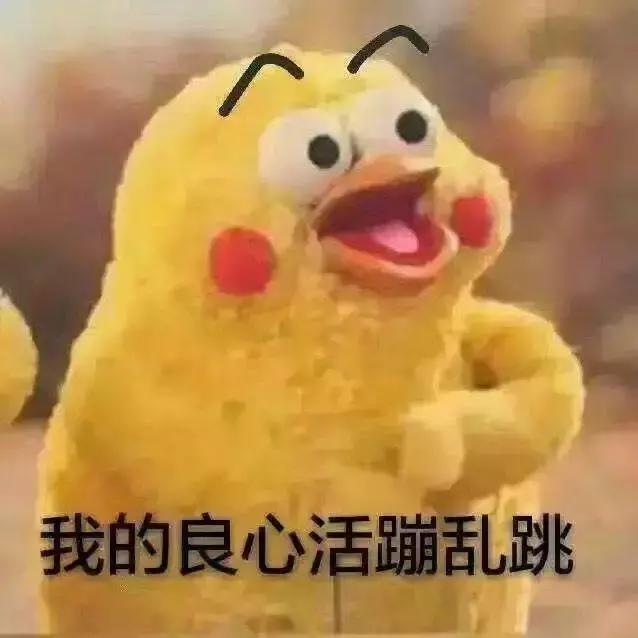 zara香奈儿迪奥,zara香水迪奥旷野