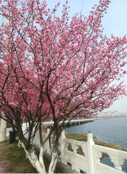 金寨县人民医院各科室,金寨县人民医院新院区开放科室