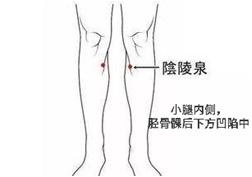 寒湿大艾灸哪几个穴位,寒湿重艾灸哪个穴位效果最好