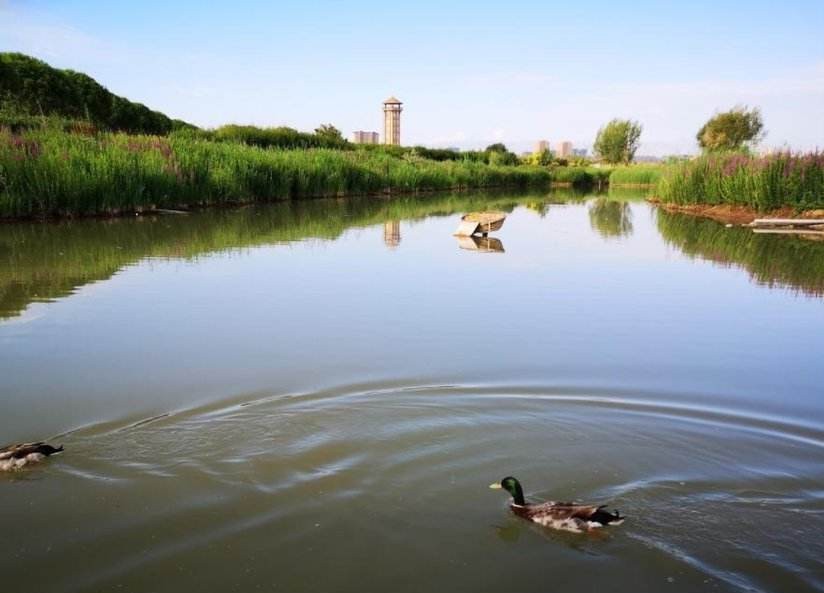 张掖的房价现在是降了还是涨了,张掖房价为什么比武威低