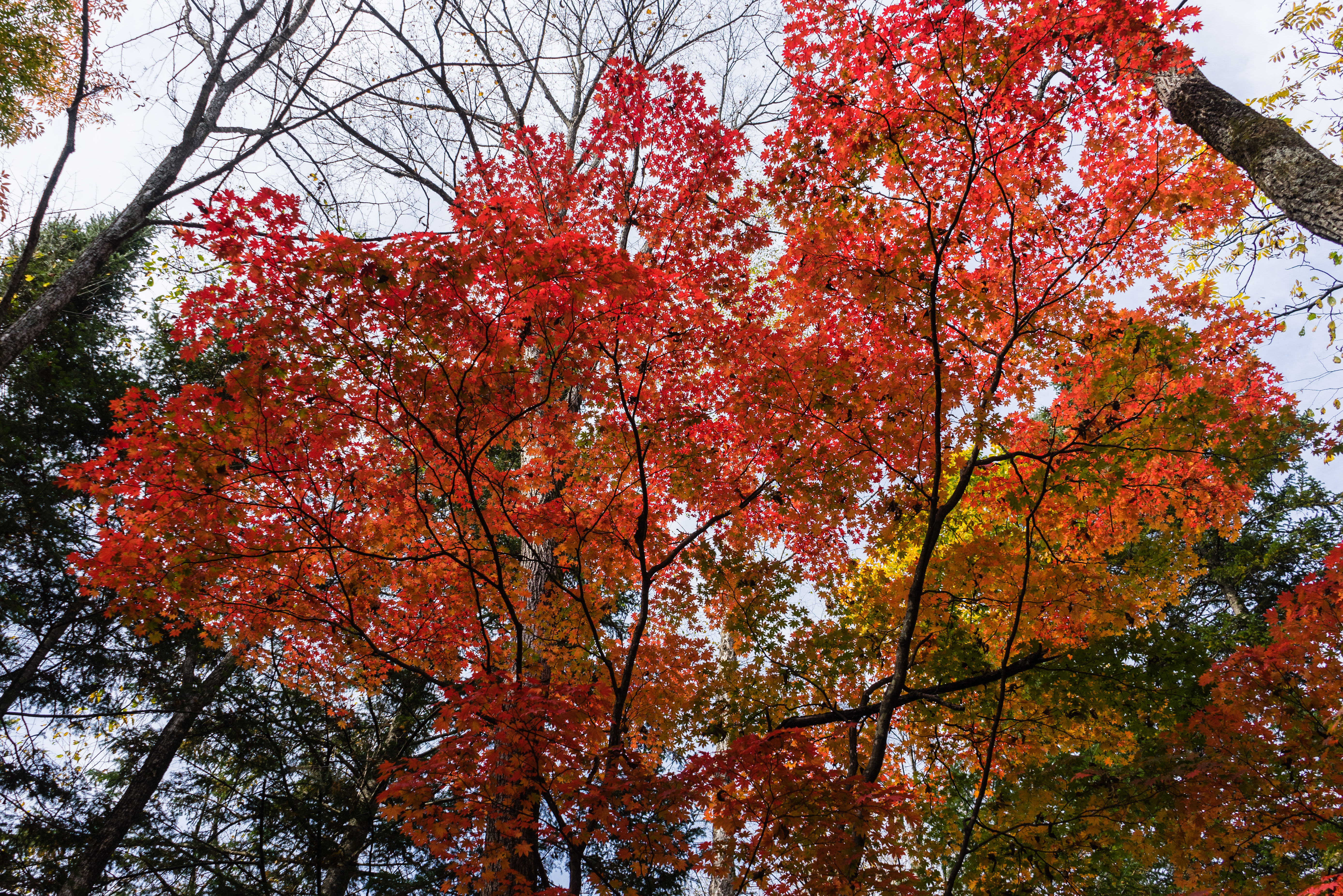 中朝边境自驾游视频,331国道自驾中朝攻略